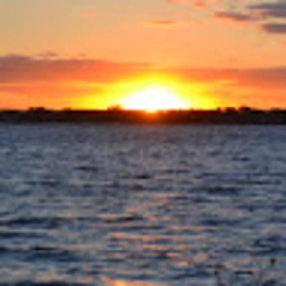 Meet your Posher, Kaylee - Picture 1 of 1